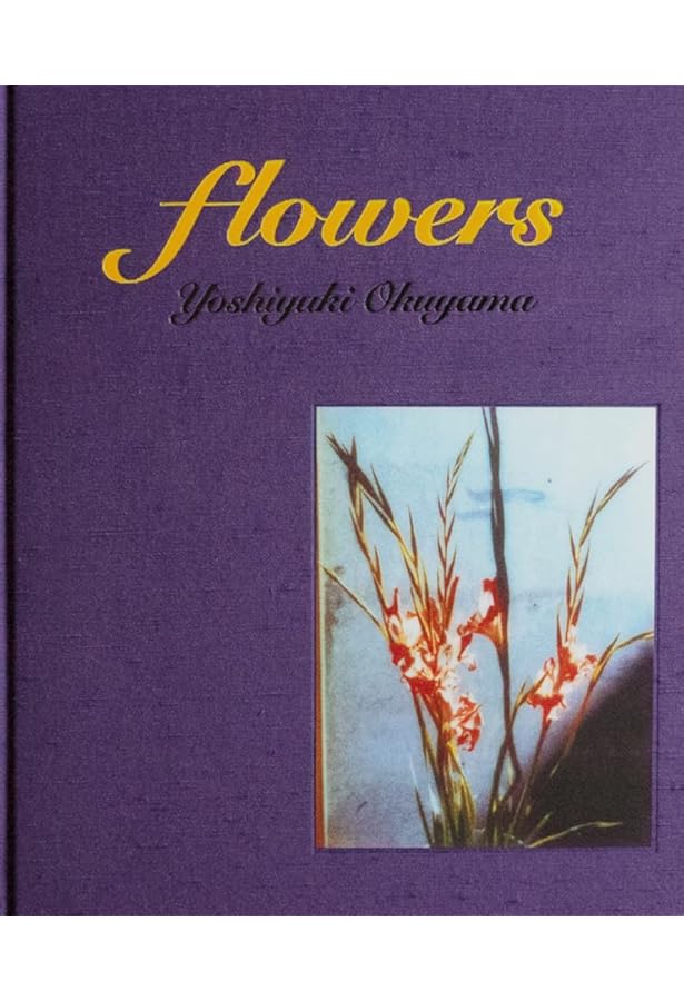 windows | 奥山 由之 |本 | 通販 | Amazon